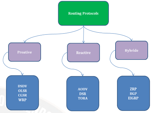 Categorization of protocols for routing