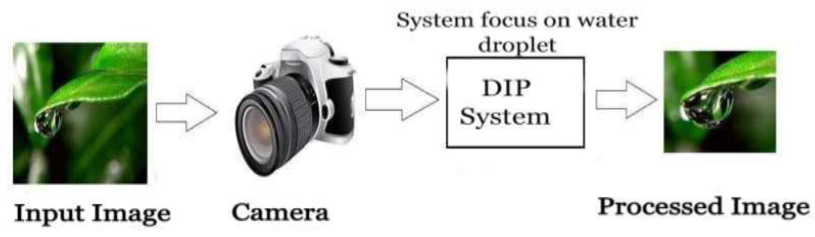 Example Digital Image Processing System